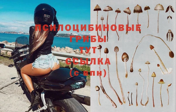 МДМА Абинск