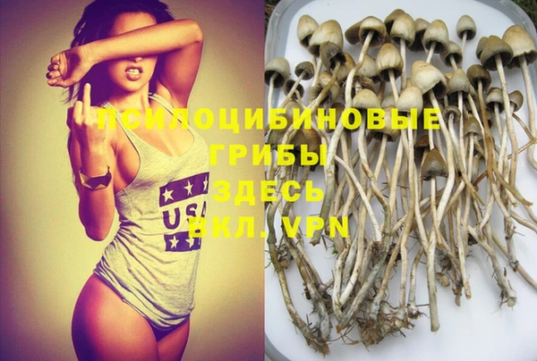 гашик Абдулино