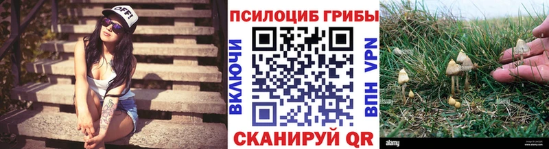 цена   Новая Усмань  Псилоцибиновые грибы Psilocybe 
